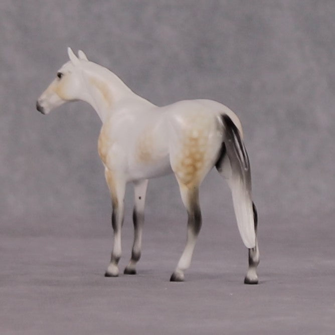"Julius Caesar" OOAK Thoroughbred Chip By Ellen Robbins CL25 Classic Lit Chips