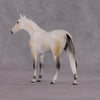 &quot;Julius Caesar&quot; OOAK Thoroughbred Chip By Ellen Robbins CL25 Classic Lit Chips