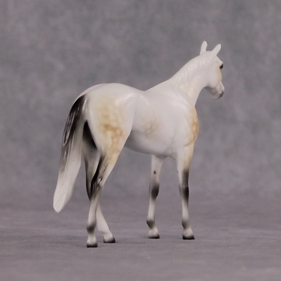 "Julius Caesar" OOAK Thoroughbred Chip By Ellen Robbins CL25 Classic Lit Chips