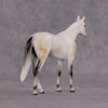 &quot;Julius Caesar&quot; OOAK Thoroughbred Chip By Ellen Robbins CL25 Classic Lit Chips