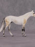 "Julius Caesar" OOAK Thoroughbred Chip By Ellen Robbins CL25 Classic Lit Chips