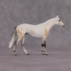 &quot;Julius Caesar&quot; OOAK Thoroughbred Chip By Ellen Robbins CL25 Classic Lit Chips