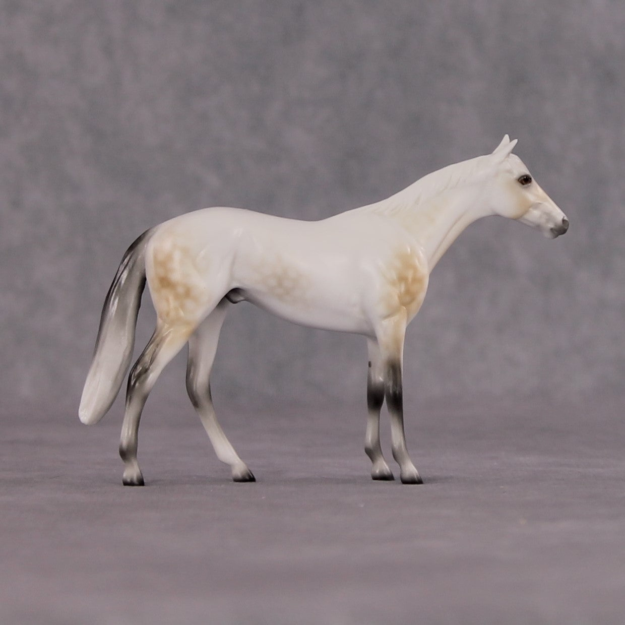 "Julius Caesar" OOAK Thoroughbred Chip By Ellen Robbins CL25 Classic Lit Chips