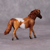 Stormwolf LE-6 Bay Chestnut Appaloosa Pony Chip By Jamie Adamson $99 Chips Sale December 2024