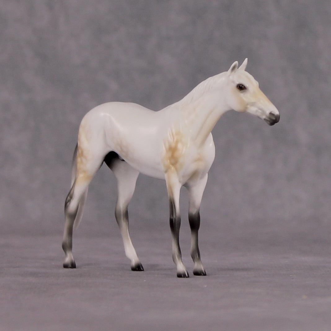 "Julius Caesar" OOAK Thoroughbred Chip By Ellen Robbins CL25 Classic Lit Chips