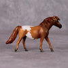 Stormwolf LE-6 Bay Chestnut Appaloosa Pony Chip By Jamie Adamson $99 Chips Sale December 2024