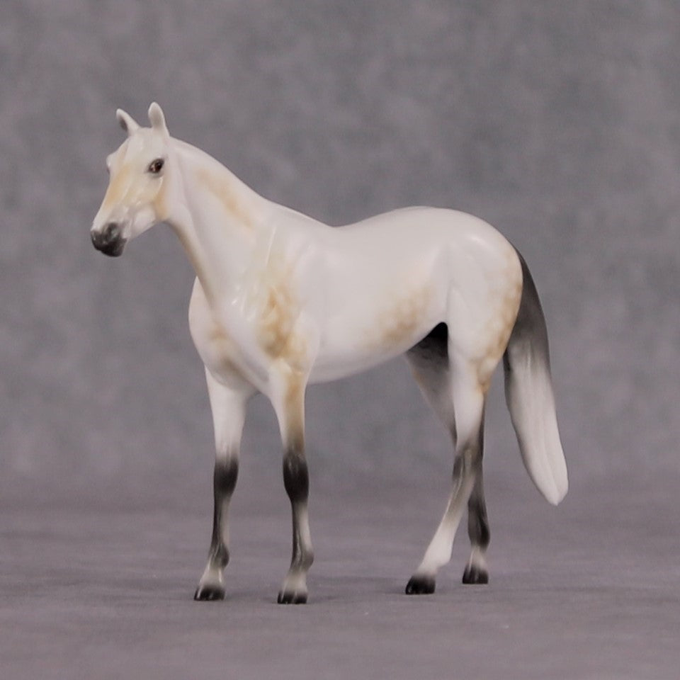 "Julius Caesar" OOAK Thoroughbred Chip By Ellen Robbins CL25 Classic Lit Chips