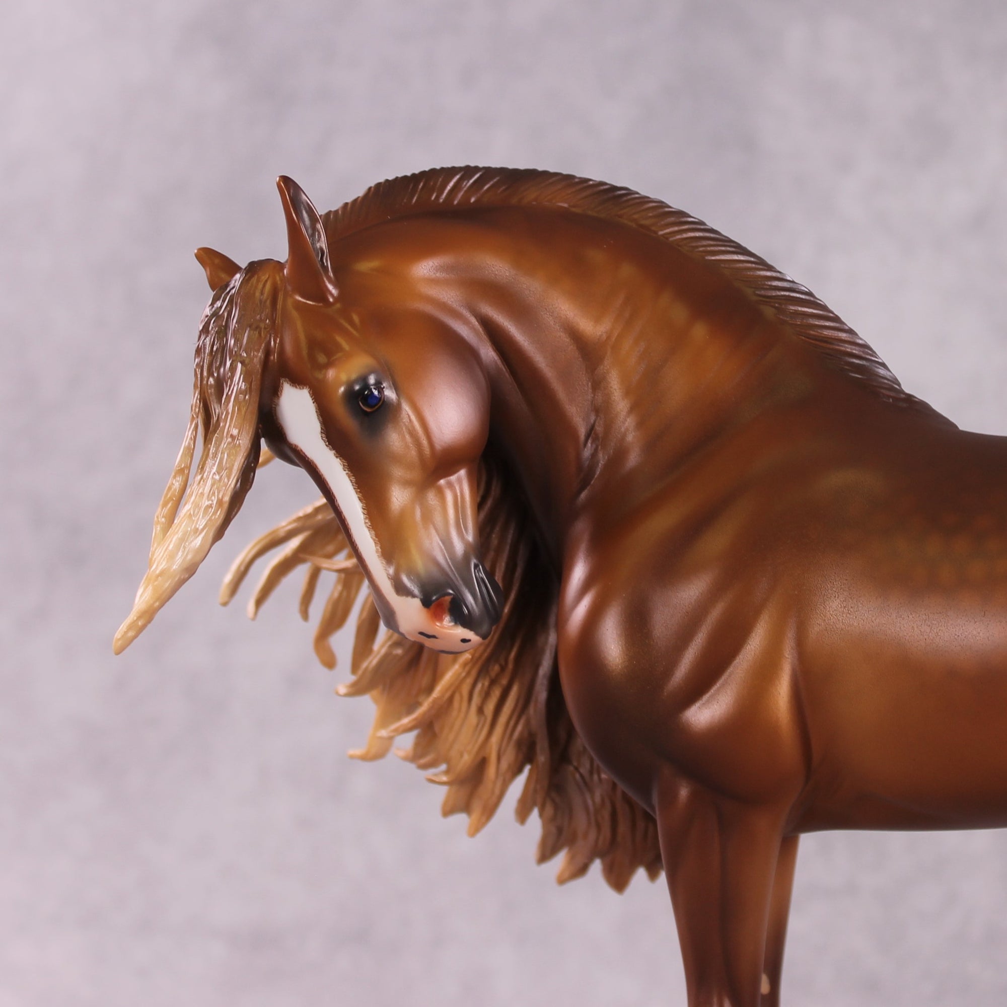 "Wild Child" OOAK EFCM Andalusian By Caroline Boydston Best Offer 5/6/2025