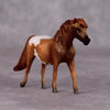 Stormwolf LE-6 Bay Chestnut Appaloosa Pony Chip By Jamie Adamson $99 Chips Sale December 2024