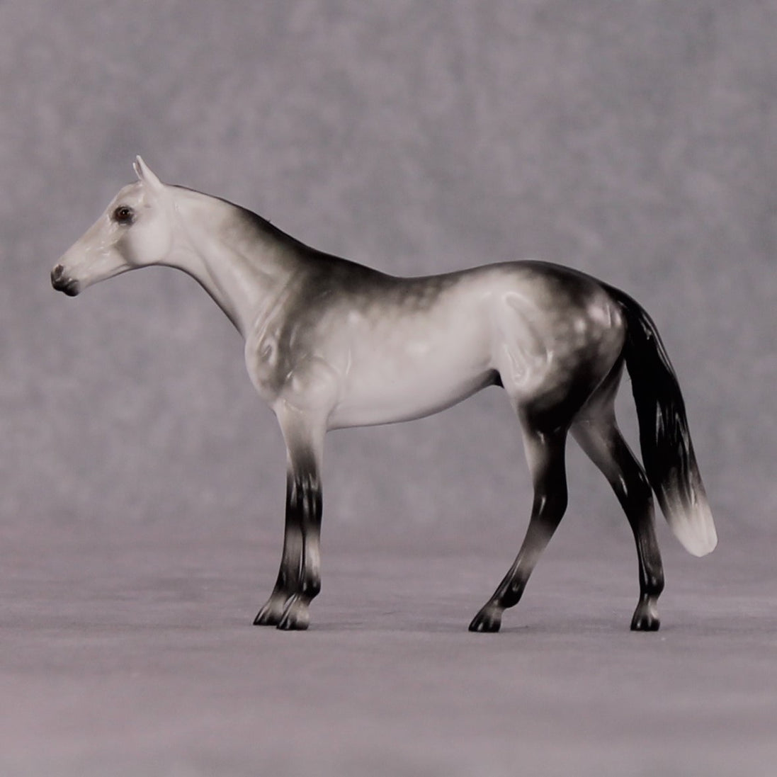 "Octavius" OOAK Thoroughbred Chip By Ellen Robbins CL25 Classic Lit Chips