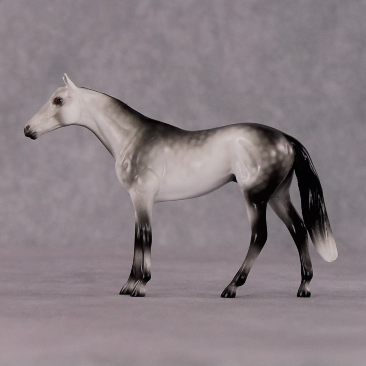 "Octavius" OOAK Thoroughbred Chip By Ellen Robbins CL25 Classic Lit Chips