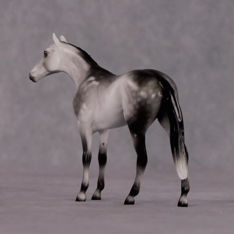 "Octavius" OOAK Thoroughbred Chip By Ellen Robbins CL25 Classic Lit Chips