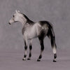 &quot;Octavius&quot; OOAK Thoroughbred Chip By Ellen Robbins CL25 Classic Lit Chips