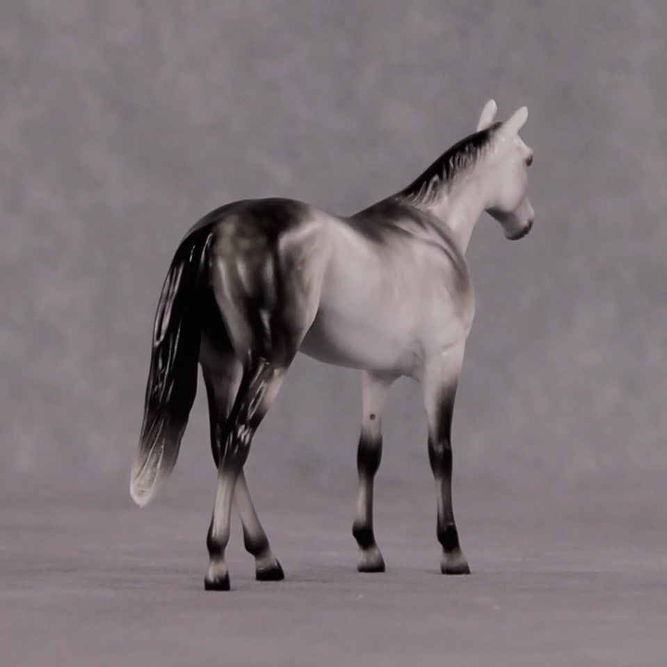 "Octavius" OOAK Thoroughbred Chip By Ellen Robbins CL25 Classic Lit Chips