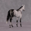 &quot;Octavius&quot; OOAK Thoroughbred Chip By Ellen Robbins CL25 Classic Lit Chips