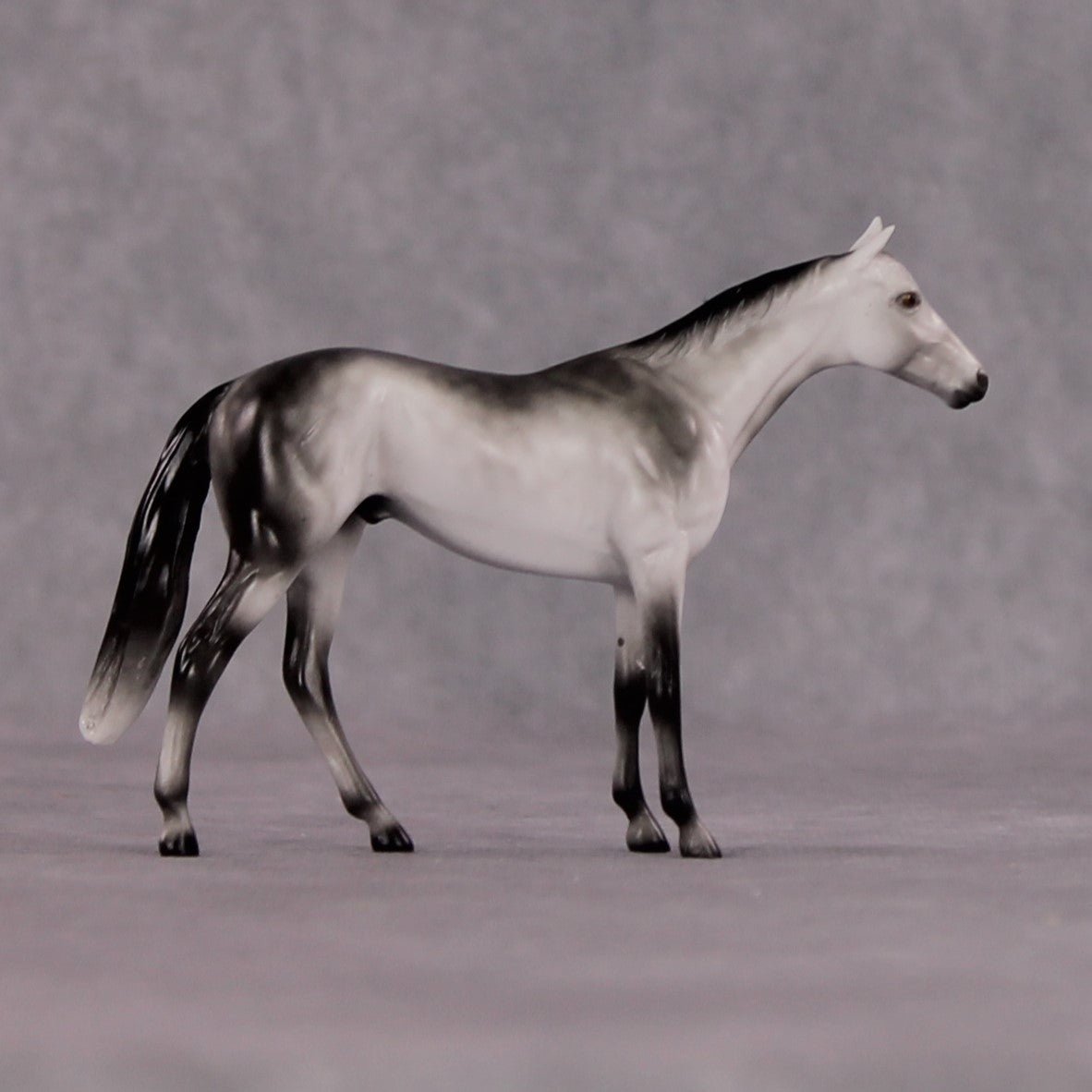 "Octavius" OOAK Thoroughbred Chip By Ellen Robbins CL25 Classic Lit Chips