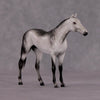 &quot;Octavius&quot; OOAK Thoroughbred Chip By Ellen Robbins CL25 Classic Lit Chips