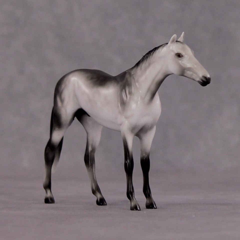 "Octavius" OOAK Thoroughbred Chip By Ellen Robbins CL25 Classic Lit Chips
