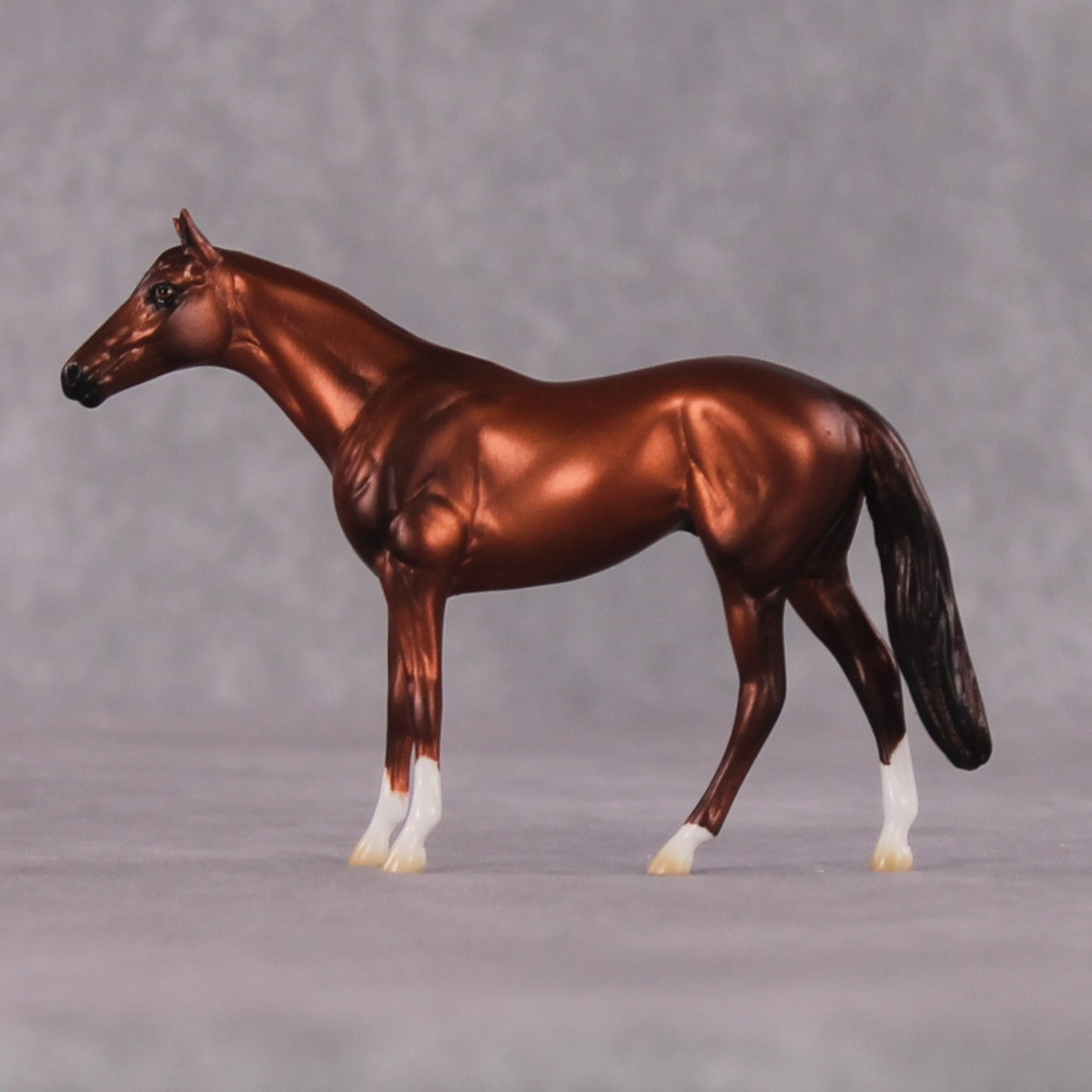 "Cassius" OOAK Thoroughbred Chip By Ellen Robbins CL25 Classic Lit Chips