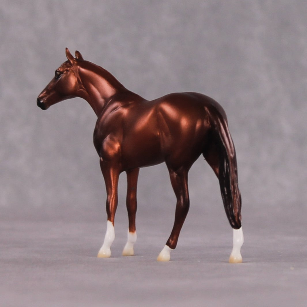 "Cassius" OOAK Thoroughbred Chip By Ellen Robbins CL25 Classic Lit Chips