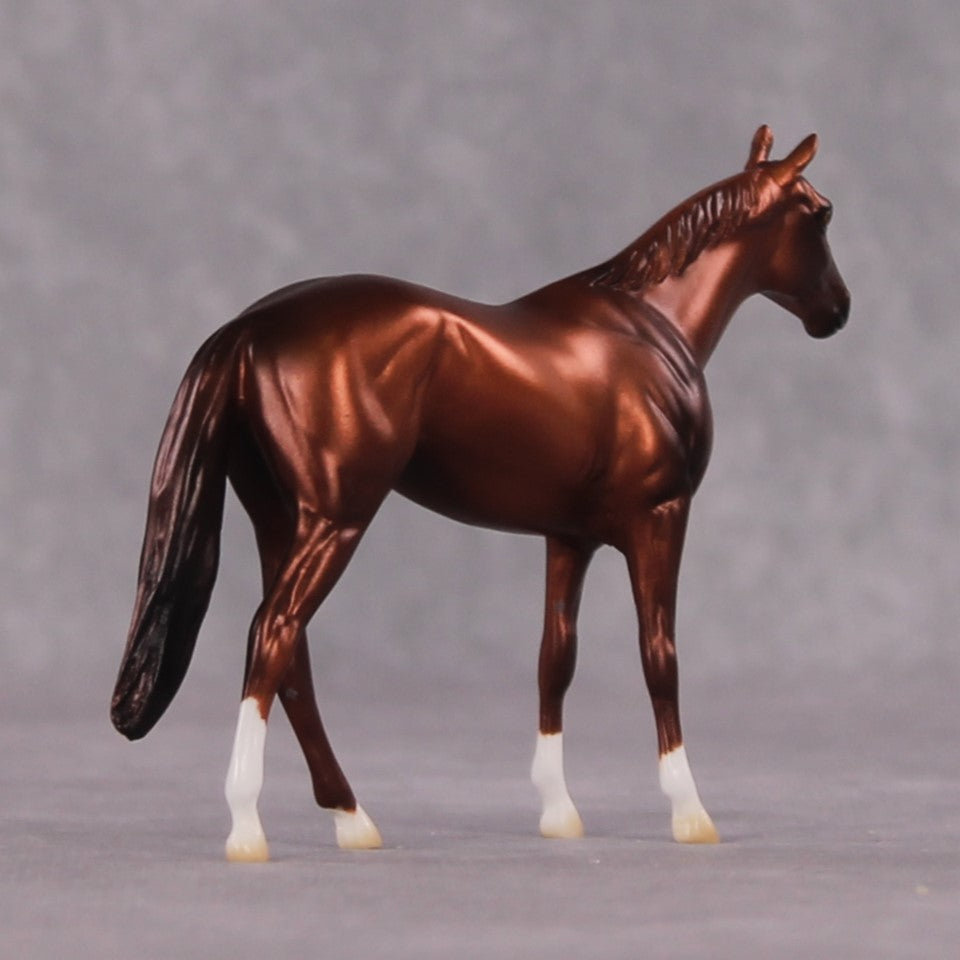 "Cassius" OOAK Thoroughbred Chip By Ellen Robbins CL25 Classic Lit Chips