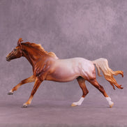 Stone Horses December Design-A-Horse Special Design Arabian Stallion SDAH25