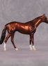 "Cassius" OOAK Thoroughbred Chip By Ellen Robbins CL25 Classic Lit Chips