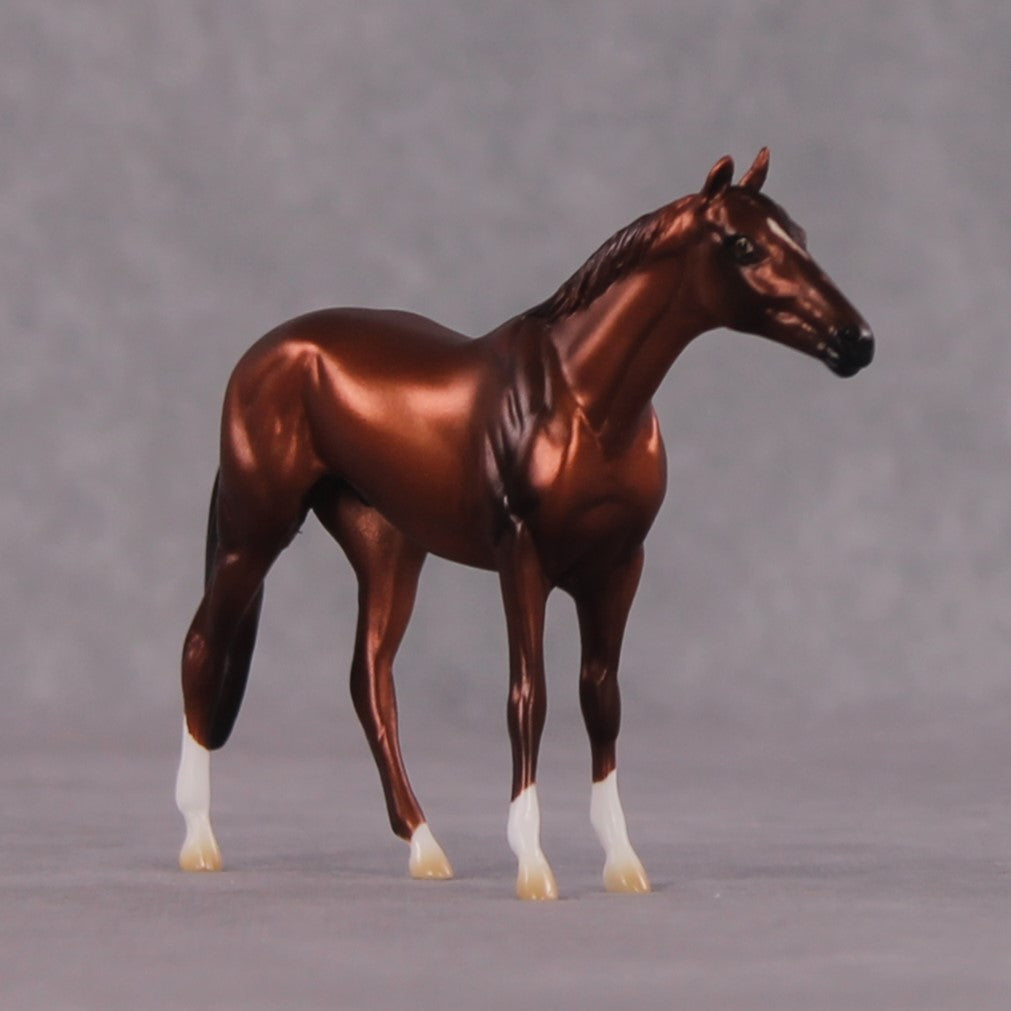 "Cassius" OOAK Thoroughbred Chip By Ellen Robbins CL25 Classic Lit Chips