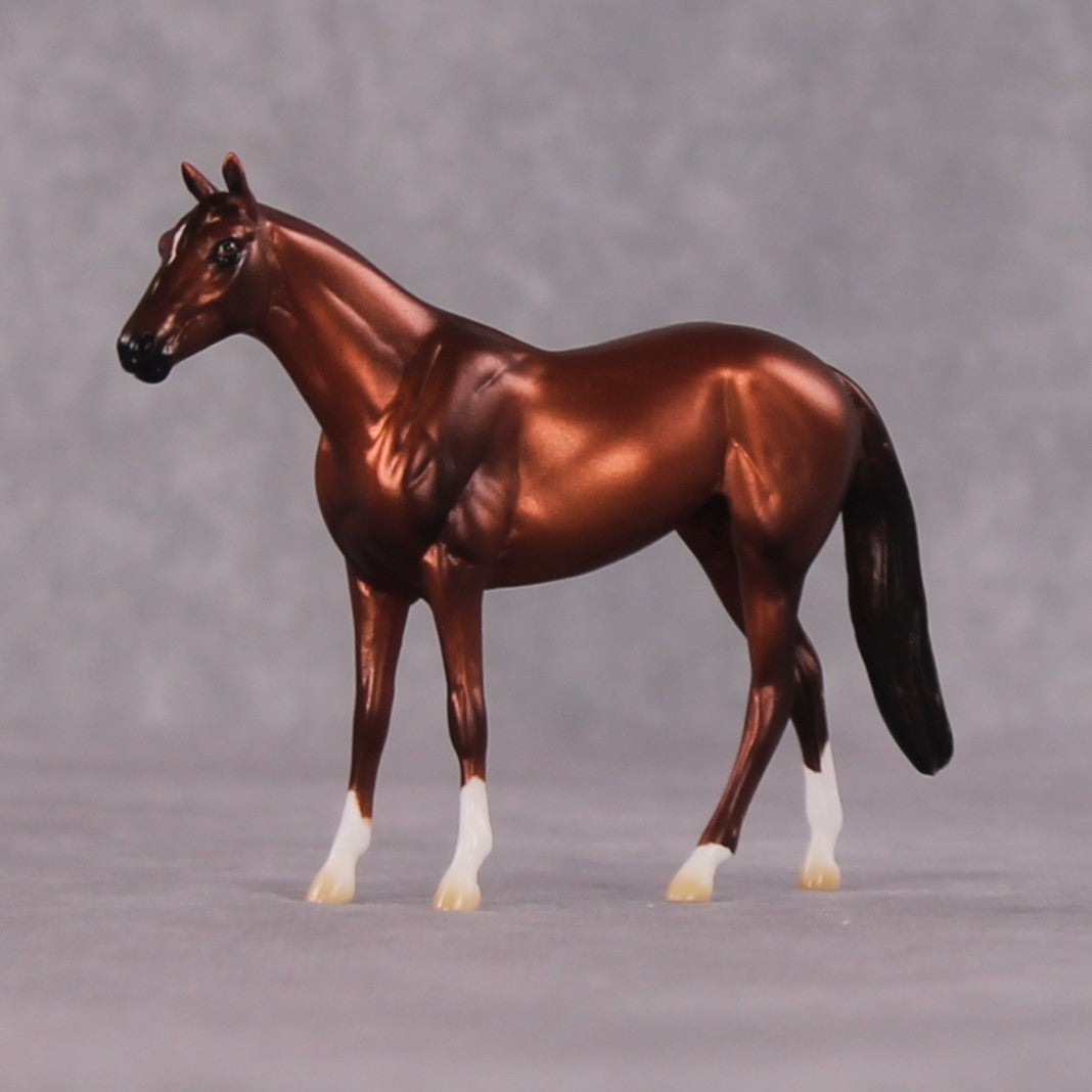 "Cassius" OOAK Thoroughbred Chip By Ellen Robbins CL25 Classic Lit Chips