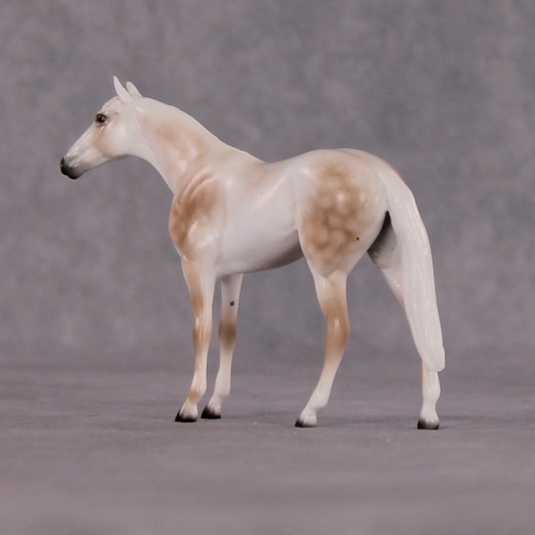 "Brutus" OOAK Thoroughbred Chip By Ellen Robbins CL25 Classic Lit Chips