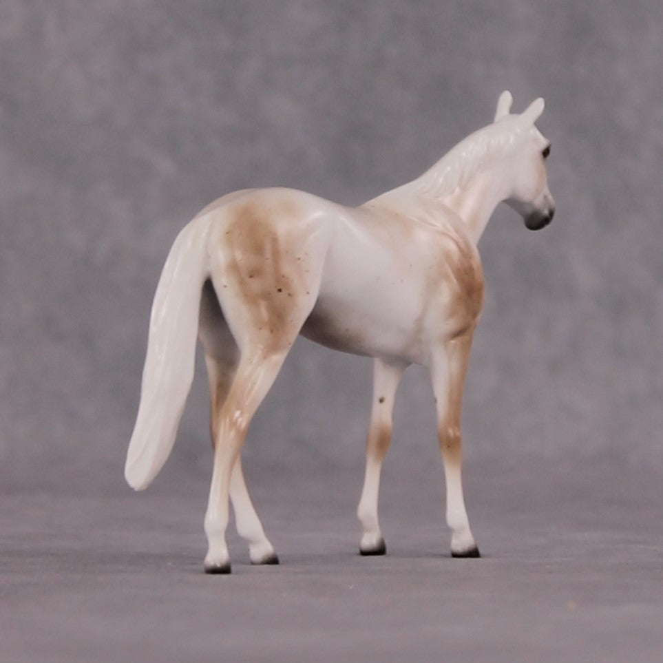 "Brutus" OOAK Thoroughbred Chip By Ellen Robbins CL25 Classic Lit Chips