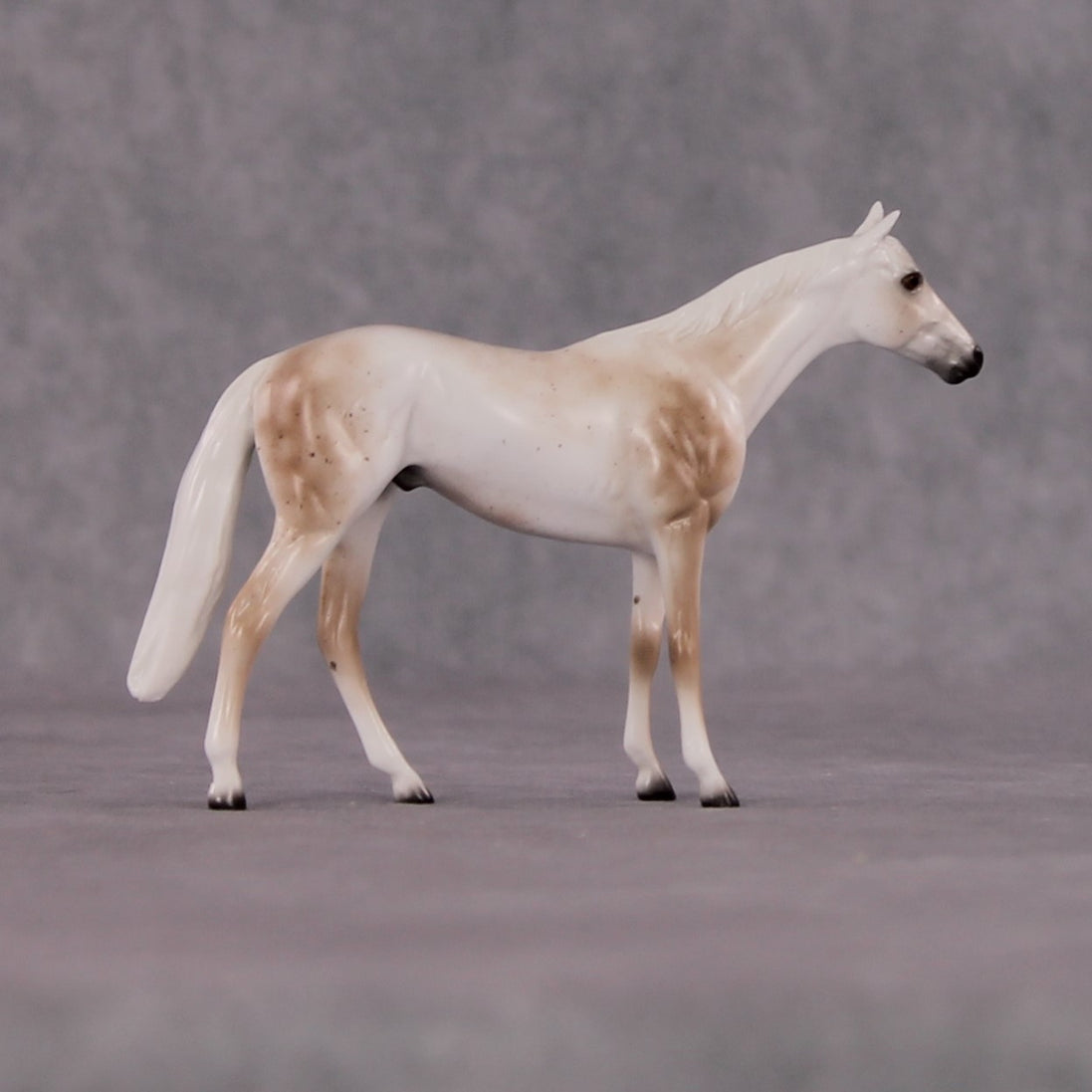 "Brutus" OOAK Thoroughbred Chip By Ellen Robbins CL25 Classic Lit Chips