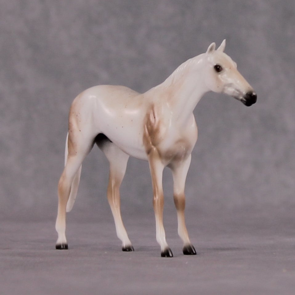 "Brutus" OOAK Thoroughbred Chip By Ellen Robbins CL25 Classic Lit Chips