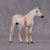 &quot;Brutus&quot; OOAK Thoroughbred Chip By Ellen Robbins CL25 Classic Lit Chips