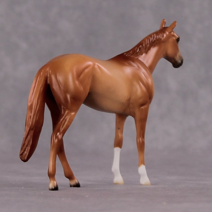 "Decius" OOAK Thoroughbred Chip By Ellen Robbins CL25 Classic Lit Chips