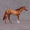 &quot;Decius&quot; OOAK Thoroughbred Chip By Ellen Robbins CL25 Classic Lit Chips