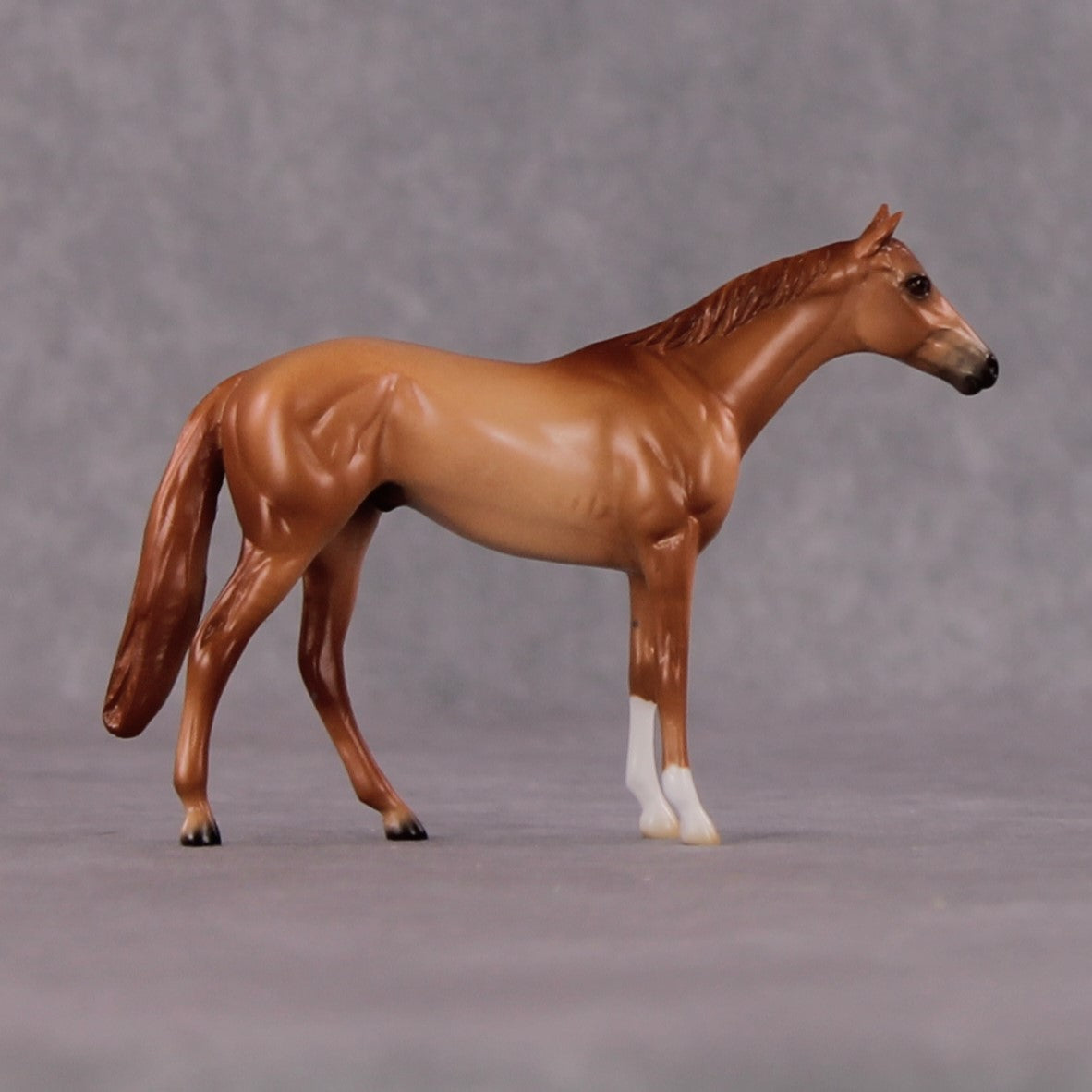 "Decius" OOAK Thoroughbred Chip By Ellen Robbins CL25 Classic Lit Chips