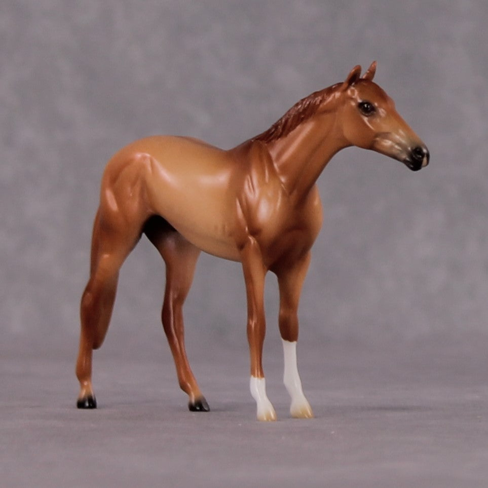 "Decius" OOAK Thoroughbred Chip By Ellen Robbins CL25 Classic Lit Chips