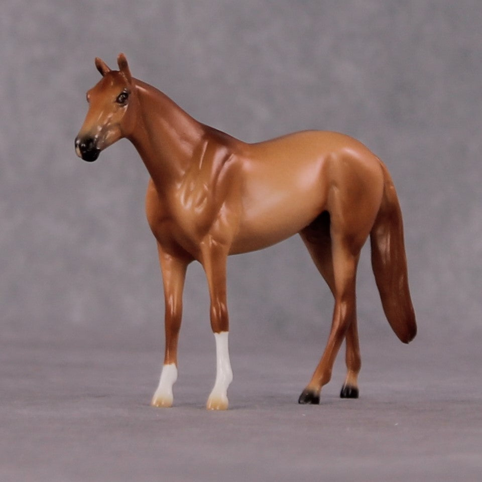 "Decius" OOAK Thoroughbred Chip By Ellen Robbins CL25 Classic Lit Chips