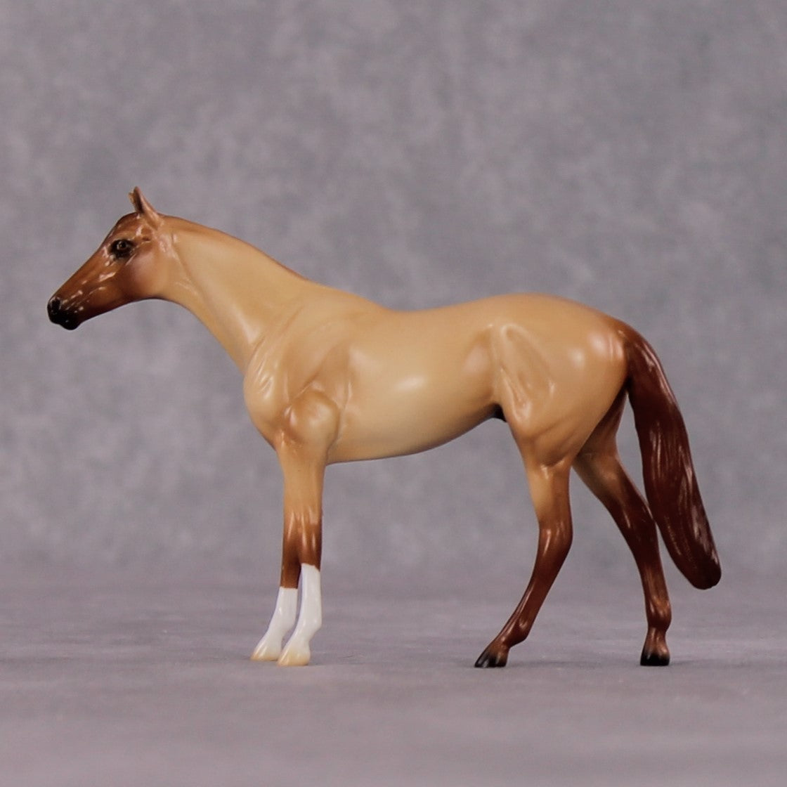 "Casca" OOAK Thoroughbred Chip By Ellen Robbins CL25 Classic Lit Chips