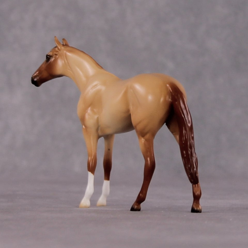 "Casca" OOAK Thoroughbred Chip By Ellen Robbins CL25 Classic Lit Chips