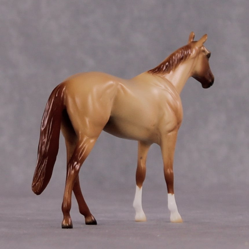 "Casca" OOAK Thoroughbred Chip By Ellen Robbins CL25 Classic Lit Chips