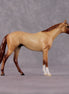 "Casca" OOAK Thoroughbred Chip By Ellen Robbins CL25 Classic Lit Chips