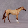 &quot;Casca&quot; OOAK Thoroughbred Chip By Ellen Robbins CL25 Classic Lit Chips