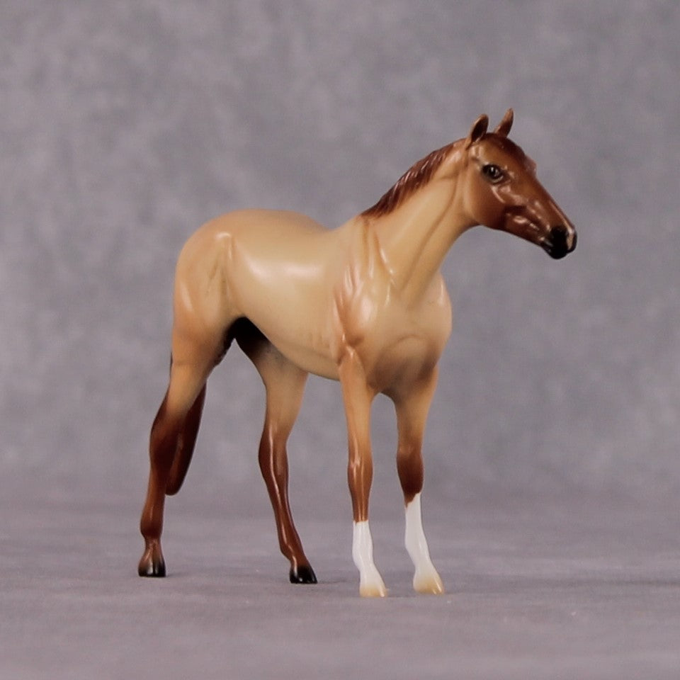 "Casca" OOAK Thoroughbred Chip By Ellen Robbins CL25 Classic Lit Chips