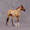 &quot;Casca&quot; OOAK Thoroughbred Chip By Ellen Robbins CL25 Classic Lit Chips