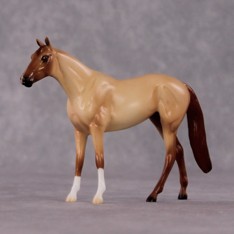 "Casca" OOAK Thoroughbred Chip By Ellen Robbins CL25 Classic Lit Chips