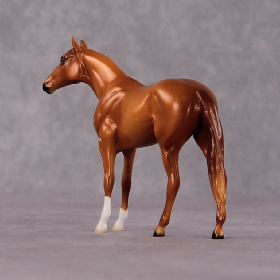 "Cinna" OOAK Thoroughbred Chip By Ellen Robbins CL25 Classic Lit Chips