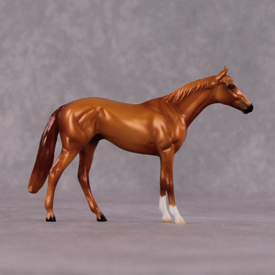 "Cinna" OOAK Thoroughbred Chip By Ellen Robbins CL25 Classic Lit Chips