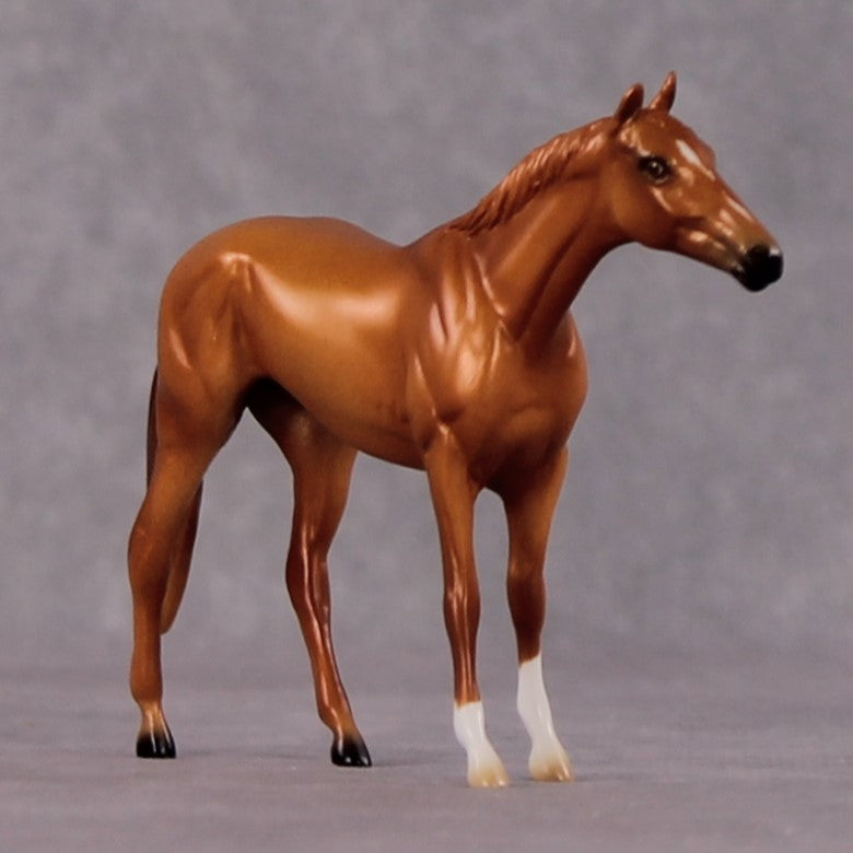 "Cinna" OOAK Thoroughbred Chip By Ellen Robbins CL25 Classic Lit Chips